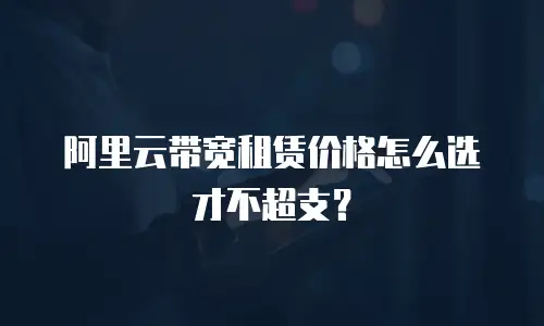阿里云带宽租赁价格怎么选才不超支？