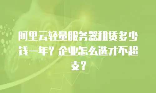 阿里云轻量服务器租赁多少钱一年？企业怎么选才不超支？
