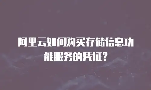 阿里云如何购买存储信息功能服务的凭证？