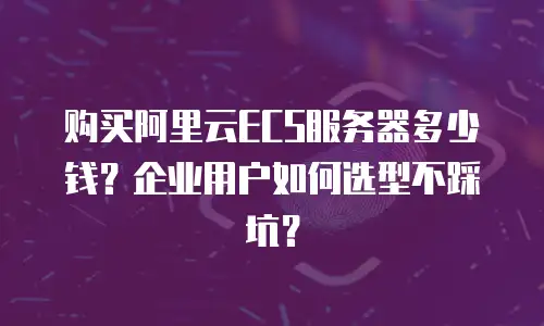 购买阿里云ECS服务器多少钱？企业用户如何选型不踩坑？