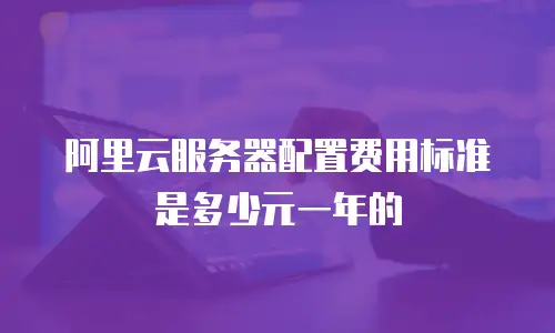 阿里云服务器配置费用标准是多少元一年的