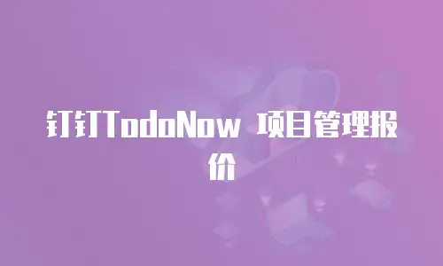 钉钉TodoNow 项目管理报价
