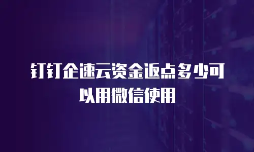 钉钉企速云资金返点多少可以用微信使用