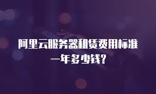 阿里云服务器租赁费用标准一年多少钱？