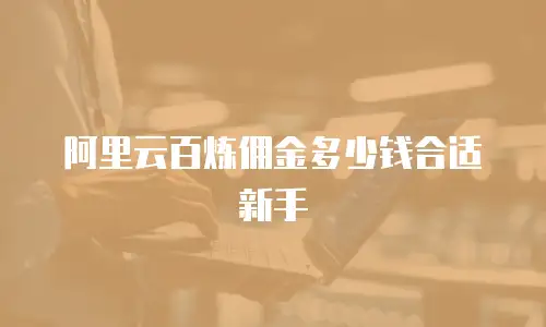 阿里云百炼佣金多少钱合适新手