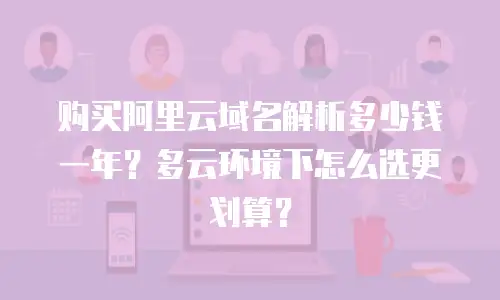 购买阿里云域名解析多少钱一年？多云环境下怎么选更划算？