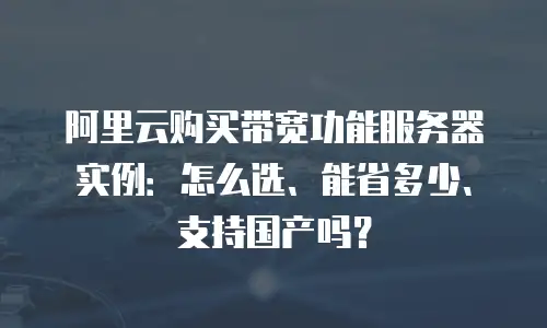 阿里云购买带宽功能服务器实例：怎么选、能省多少、支持国产吗？