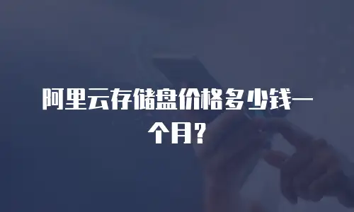 阿里云存储盘价格多少钱一个月？