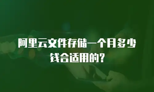 阿里云文件存储一个月多少钱合适用的？