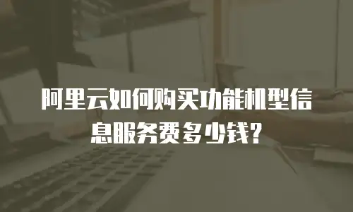 阿里云如何购买功能机型信息服务费多少钱？