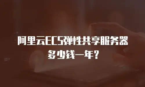 阿里云ECS弹性共享服务器多少钱一年？