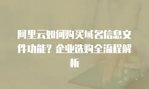 阿里云如何购买域名信息文件功能？企业选购全流程解析
