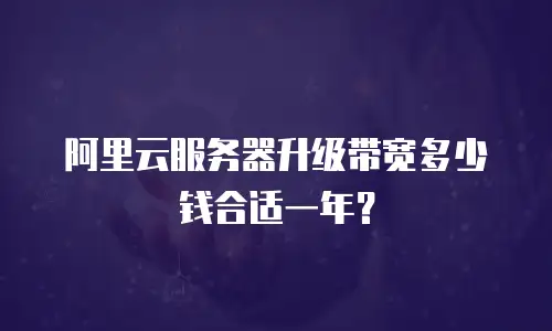 阿里云服务器升级带宽多少钱合适一年？