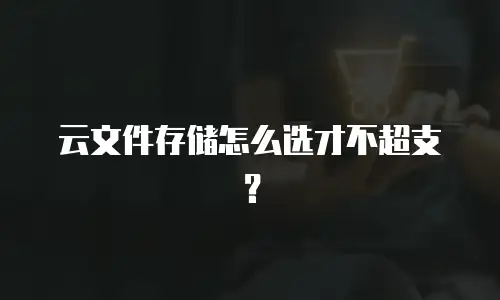 云文件存储怎么选才不超支？