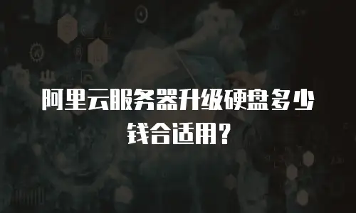 阿里云服务器升级硬盘多少钱合适用？