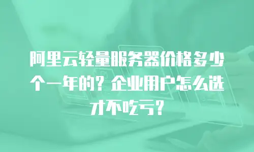 阿里云轻量服务器价格多少个一年的？企业用户怎么选才不吃亏？