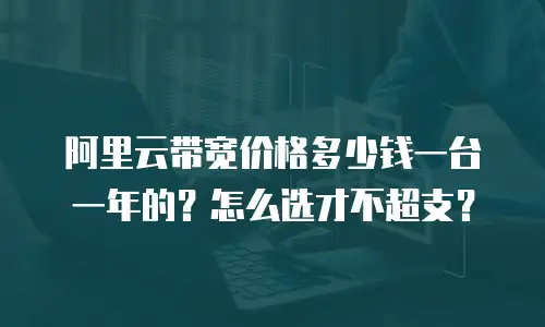 阿里云带宽价格多少钱一台一年的？怎么选才不超支？