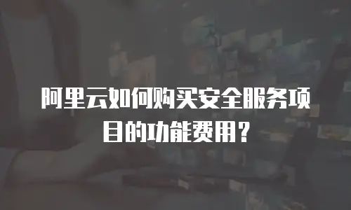阿里云如何购买安全服务项目的功能费用？