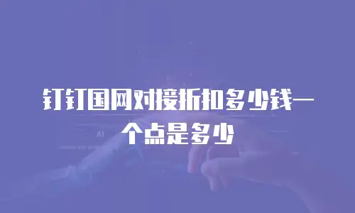 钉钉国网对接折扣多少钱一个点是多少