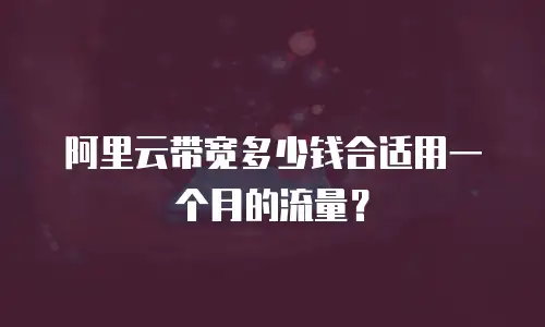 阿里云带宽多少钱合适用一个月的流量？