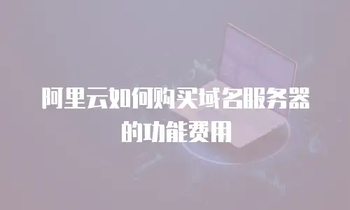 阿里云如何购买域名服务器的功能费用