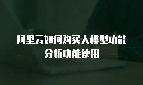 阿里云如何购买大模型功能分析功能使用