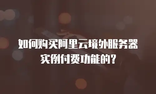 如何购买阿里云境外服务器实例付费功能的？