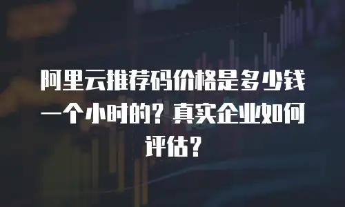 阿里云推荐码价格是多少钱一个小时的？真实企业如何评估？