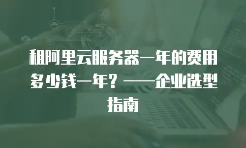 租阿里云服务器一年的费用多少钱一年？&mdash;&mdash;企业选型指南