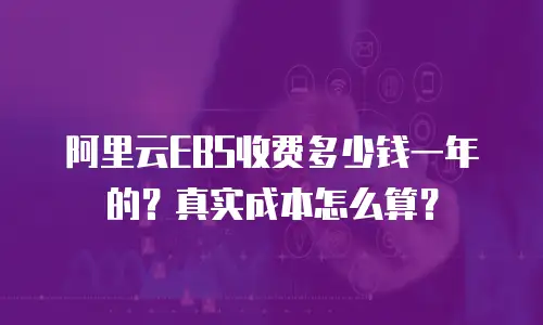 阿里云EBS收费多少钱一年的？真实成本怎么算？