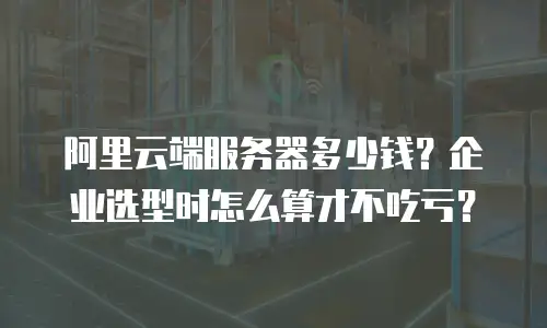 阿里云端服务器多少钱？企业选型时怎么算才不吃亏？