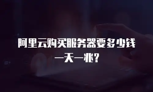 阿里云购买服务器要多少钱一天一兆？