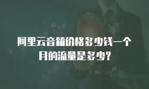 阿里云音箱价格多少钱一个月的流量是多少？