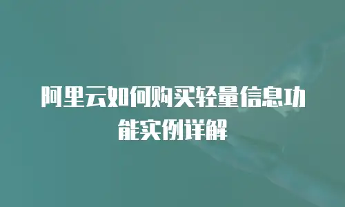 阿里云如何购买轻量信息功能实例详解