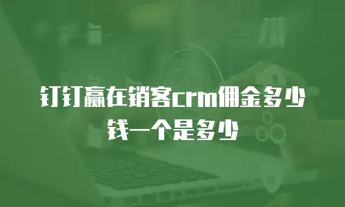 钉钉赢在销客crm佣金多少钱一个是多少