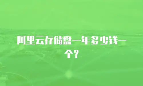 阿里云存储盘一年多少钱一个？