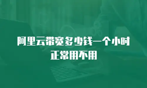 阿里云带宽多少钱一个小时正常用不用