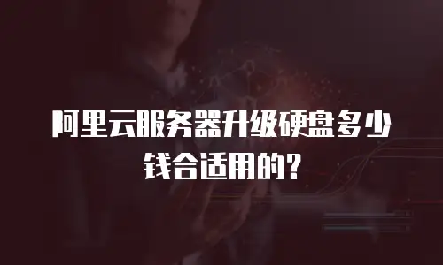 阿里云服务器升级硬盘多少钱合适用的？