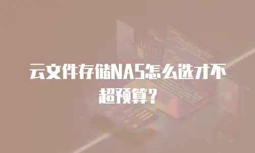 云文件存储NAS怎么选才不超预算？