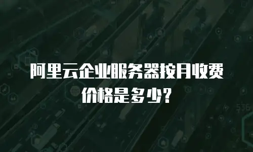 阿里云企业服务器按月收费价格是多少？