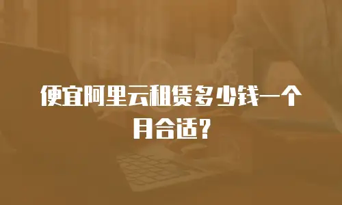 便宜阿里云租赁多少钱一个月合适？
