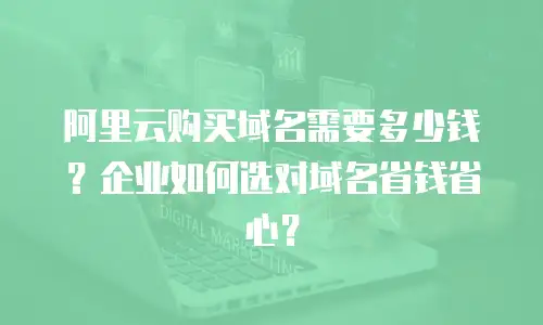 阿里云购买域名需要多少钱？企业如何选对域名省钱省心？