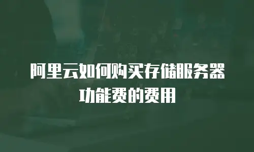 阿里云如何购买存储服务器功能费的费用