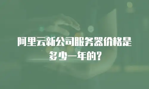 阿里云新公司服务器价格是多少一年的？