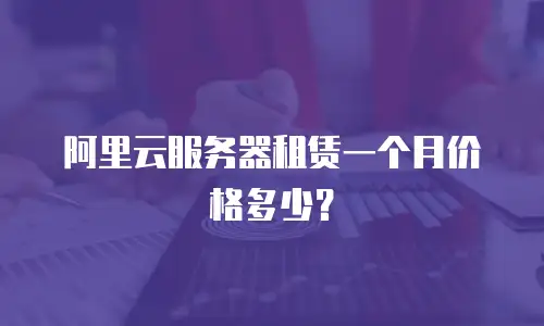 阿里云服务器租赁一个月价格多少？