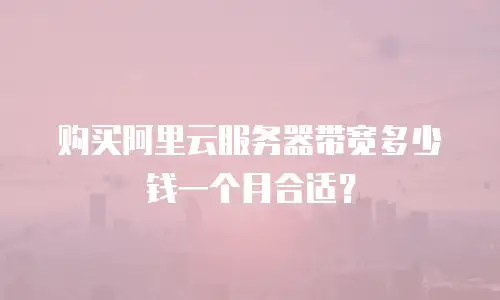 购买阿里云服务器带宽多少钱一个月合适？
