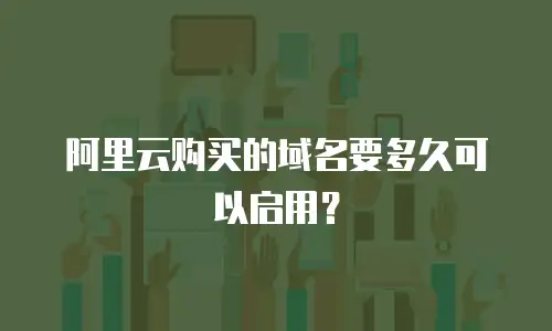 阿里云购买的域名要多久可以启用？