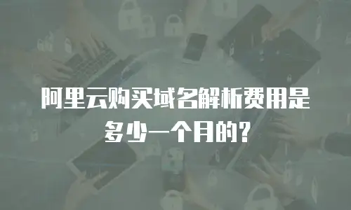 阿里云购买域名解析费用是多少一个月的？