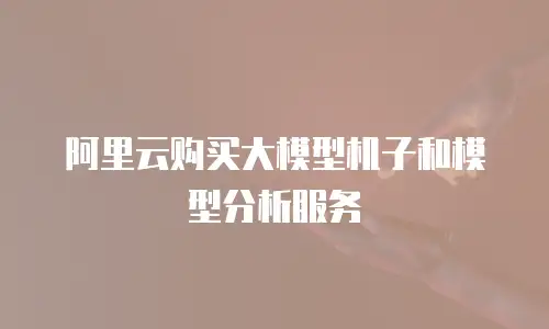 阿里云购买大模型机子和模型分析服务