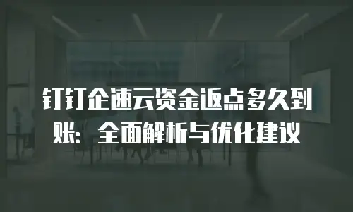 钉钉企速云资金返点多久到账：全面解析与优化建议